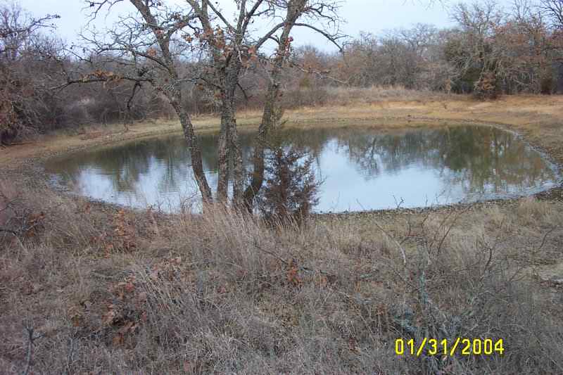 The front pond