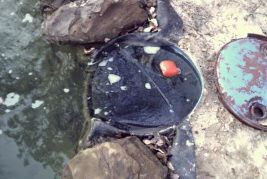 Skimmer barrel with net and float