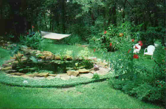 The finished pond with plants