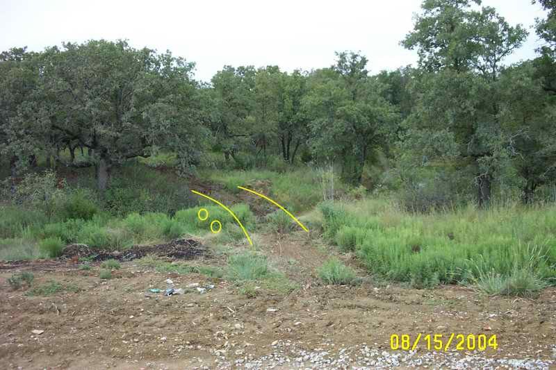 Ranch driveway, photo 3 of 16